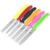 Victorinox Paring Knife Pointed Tip (Rata) 8 cm Green (6.7606.L114) - Image 4