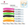 Victorinox Paring Knife Pointed Tip Wavy Edge (Bergerigi) 10 cm Pink (6.7736.L5) - Image 4