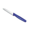 Victorinox Paring Knife Straight Edge (Rata) 8 cm Blue (5.0402) - Image 2